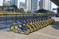 【详细教程】乌海市工厂咨询电话多少_哔哩哔哩